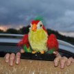 DSC_0237.JPG