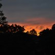 DSC_0280.JPG